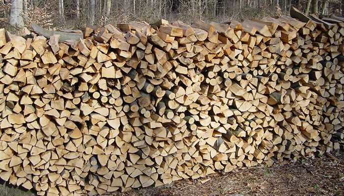 Nella foto si vede accatastato legna