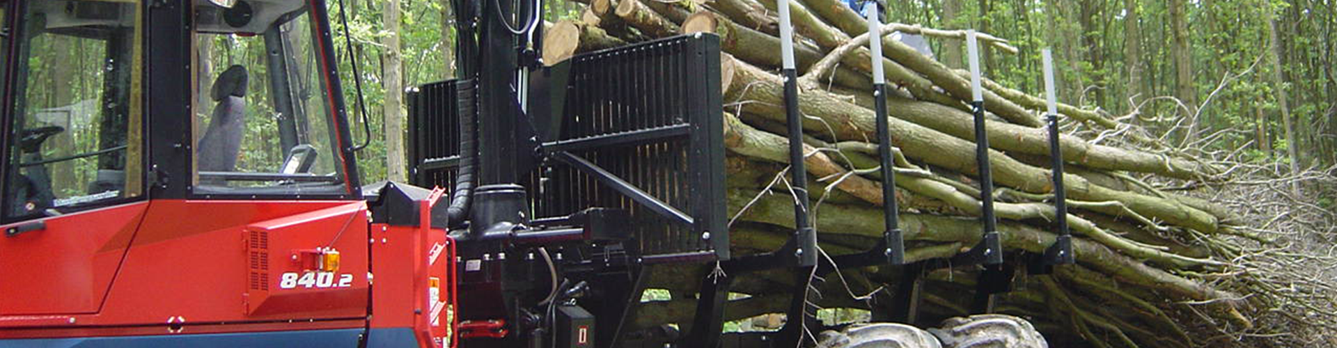 Nella foto si può vedere il trasporto di tronchi